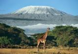 Кения отменит визовый режим для всех туристов с 2024 года