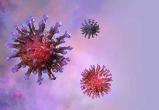 ВОЗ: коронавирус продолжает мутировать