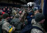 Эстония согласилась выдавать украинцев-беженцев для мобилизации