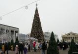 Новогодняя елка Минска вошла в десятку самых высоких в СНГ