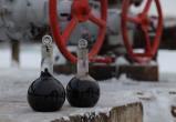 «Белоруснефть» нашла миллион тонн нефти в Гомельской области