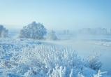 Из-за мороза в Беларуси объявлен оранжевый уровень опасности на 8 января