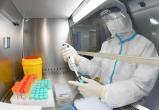 WSJ: Китай 2 недели скрывал существование смертельного вируса