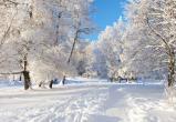 То мороз, то оттепель: Рябов рассказал о погоде на следующей неделе