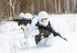 Беларусь усилит разведку в период учений НАТО