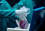 В России заявили о работе черных трансплантологов в рядах ВСУ