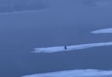 В российском Красноярске мужчину унесло на льдине - видео