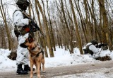 Спецназ Беларуси усилил охрану границы с Украиной