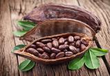 Цена на какао-бобы достигла рекордных 5,8 тысячи долларов за тонну