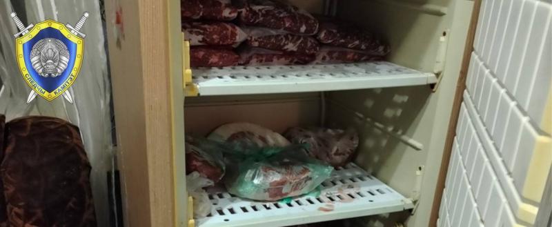 Разделал тушу лося и расфасовал в холодильнике: белорусу грозит до 4-х лет