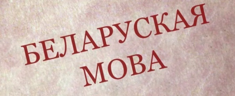 Больше половины населения Беларуси считают родным белорусский язык