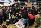 В Париже протестующие фермеры боролись с полицией на сельхозвыставке