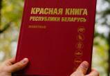 Красную книгу Беларуси серьезно подкорректируют