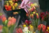 Как законно продавать цветы в Беларуси?