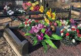 Женщины воровали цветы с могил в Гомельской области