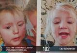 Девочки 2 и 4 лет пропали в Минской области – их нашли ночью в лесу