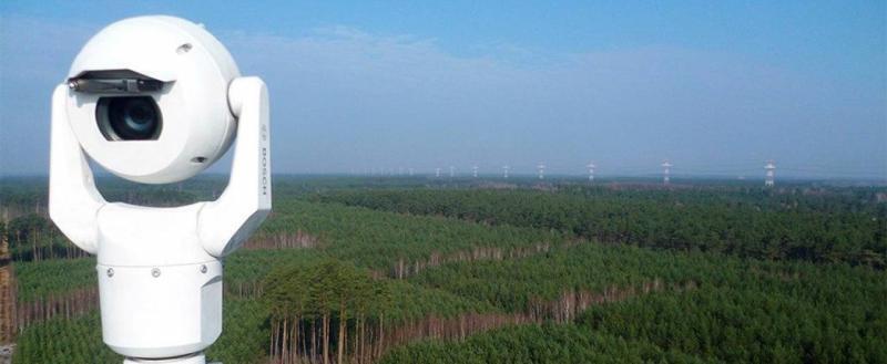 Белорусские леса полностью покрыли системой обнаружения пожаров