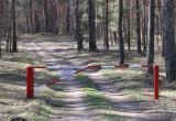 В 37 районах Беларуси ограничено посещение лесов
