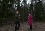 Площадь лесов выросла в Беларуси на 1 млн га за 30 лет