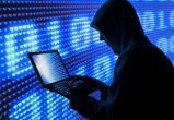 Европол: россияне и украинцы - самые частые киберпреступники