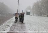 Зима вернулась – снег выпал в Беларуси