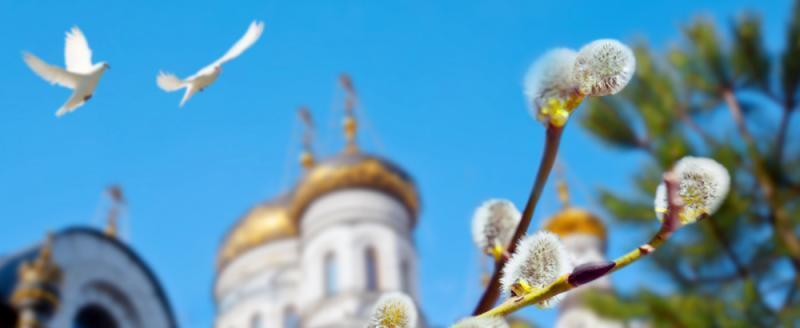 Православные верующие празднуют Вербное воскресенье