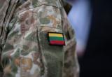 Литва готова отправить солдат в Украину
