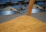 Польша отменила переговоры с Украиной по экспорту зерна