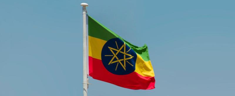 Лукашенко хочет поднять отношения с Эфиопией на новый уровень
