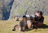 Названы финалисты Международного фотоконкурса самых смешных животных