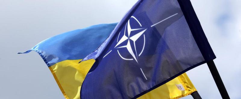Союзники просят Украину не требовать от НАТО членства