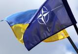 Союзники просят Украину не требовать от НАТО членства