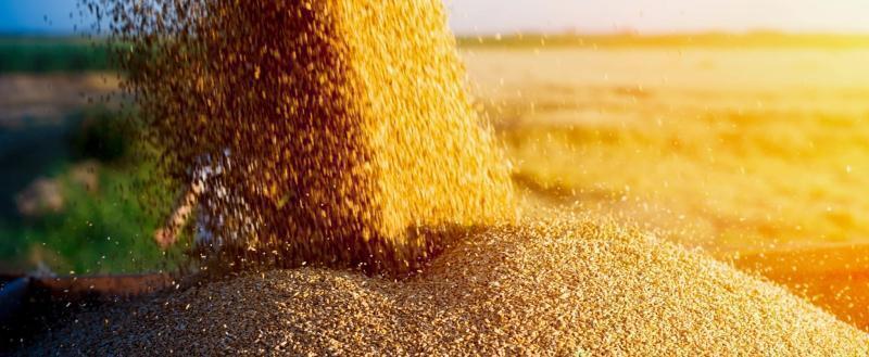 Совет ЕС утвердил введение пошлин на зерно из Беларуси и России с 1 июля