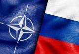 "Тупые совсем": Путин прокомментировал разговоры о нападении России на НАТО