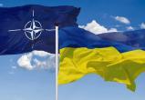 Страны НАТО в обязательном порядке будут поставлять оружие Киеву