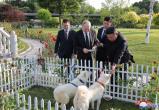 Путину подарили редких собак северокорейской породы