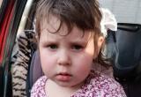 Четырехлетнюю девочку разыскивают в Каменецком районе