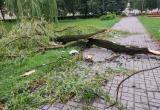 Транспорт перестал ездить в Минске и 900 населенных пунктов лишились света из-за урагана