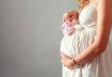 Пособия по беременности и родам вырастут в Беларуси