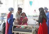 Не менее 16 человек скончались от малоизученного вируса Чандипура в Индии