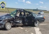 Пятеро детей и трое взрослых пострадали в аварии под Дзержинском