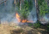 Чрезвычайная пожарная опасность в Гомельской области