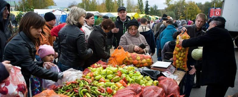 Сельхозярмарки стартуют в Беларуси: где и когда?