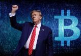 Биткоин приближается к $90 тысячам на фоне победы Трампа - Bloomberg