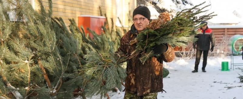 Названы цены на новогодние елки в Беларуси – от 5 рублей