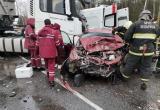 Водителя и пассажира из авто после ДТП доставали спасатели в Ветковском районе