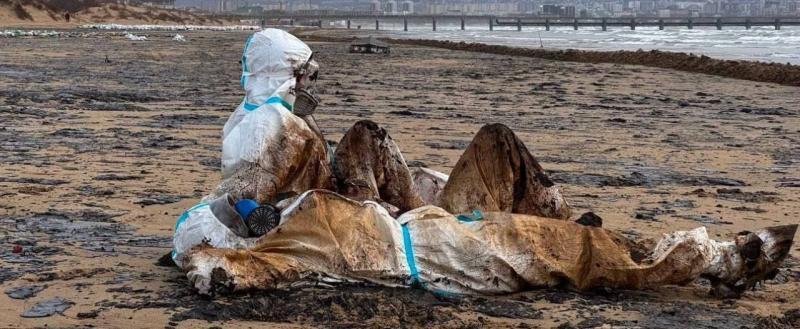 Разлив мазута в Черном море признали ЧС федерального уровня