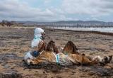 Разлив мазута в Черном море признали ЧС федерального уровня