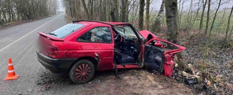 На Брестчине 18 человек пострадали в авариях за неделю