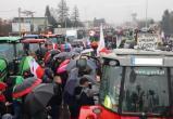 Польские фермеры вышли на акцию протеста в Варшаве